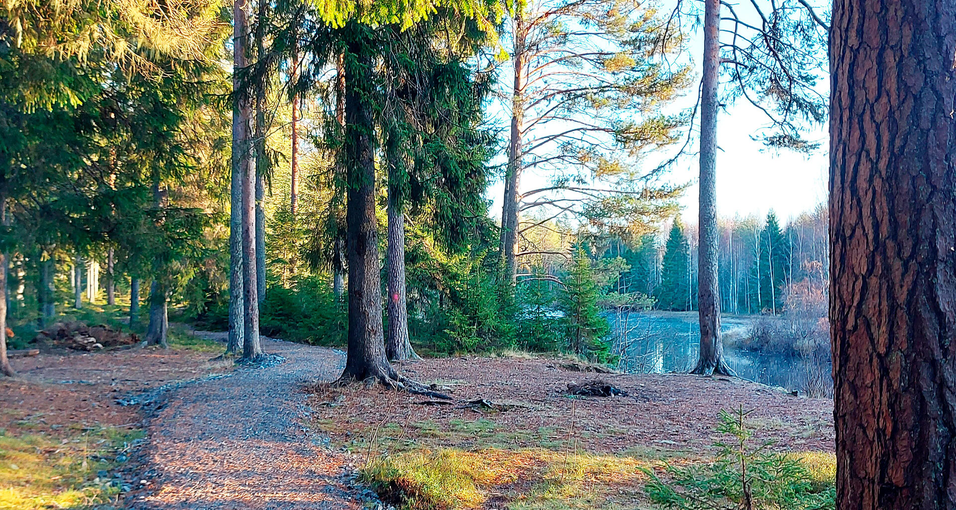 Sanginjoella Loppulan kierroksesta tehdään koko pituudeltaan esteetön – Mun Oulu