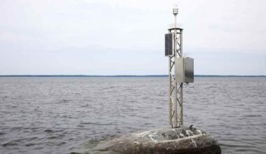 EU:n maaseutu­rahoitusta on tarjolla melkein miljoona euroa Varsinais-Suomessa ja Satakunnassa | Varsinais-Suomi