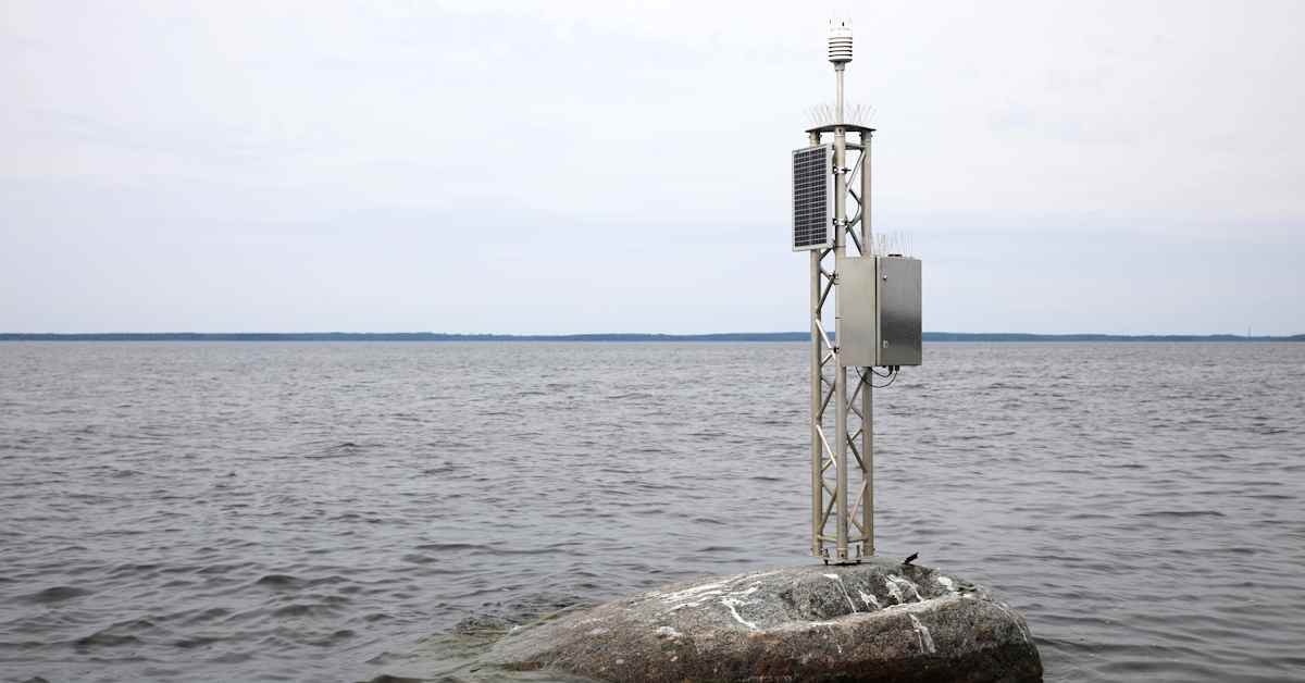 EU:n maaseutu­rahoitusta on tarjolla melkein miljoona euroa Varsinais-Suomessa ja Satakunnassa | Varsinais-Suomi