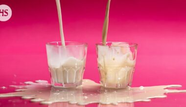 Ravitsemusterapeutti Heli Virtanen vertaili maidon ja kaurajuoman ravintoarvoja