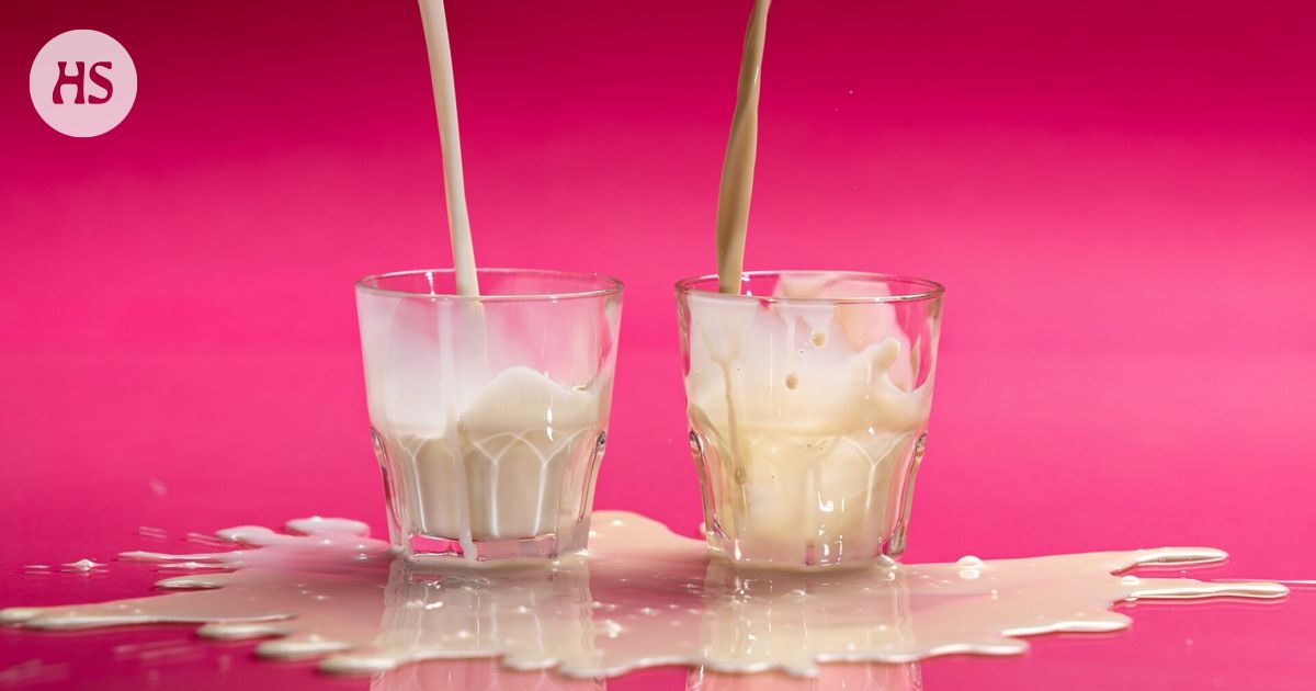 Ravitsemusterapeutti Heli Virtanen vertaili maidon ja kaurajuoman ravintoarvoja