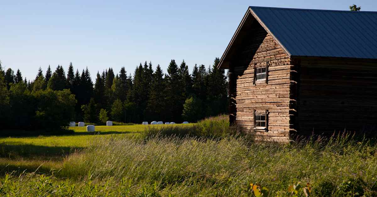 Sotkamon Naapurinvaara maailmanlaajuiseen monimuotoisuutta tukevien alueiden joukkoon | Kainuu