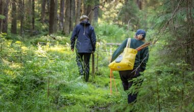 Asiantuntija ihmettelee: Luken ja Syken kasvihuonekaasujen laskentatulokset heittävät jopa kymmeniä miljoonia hiilitonneja - Metsä