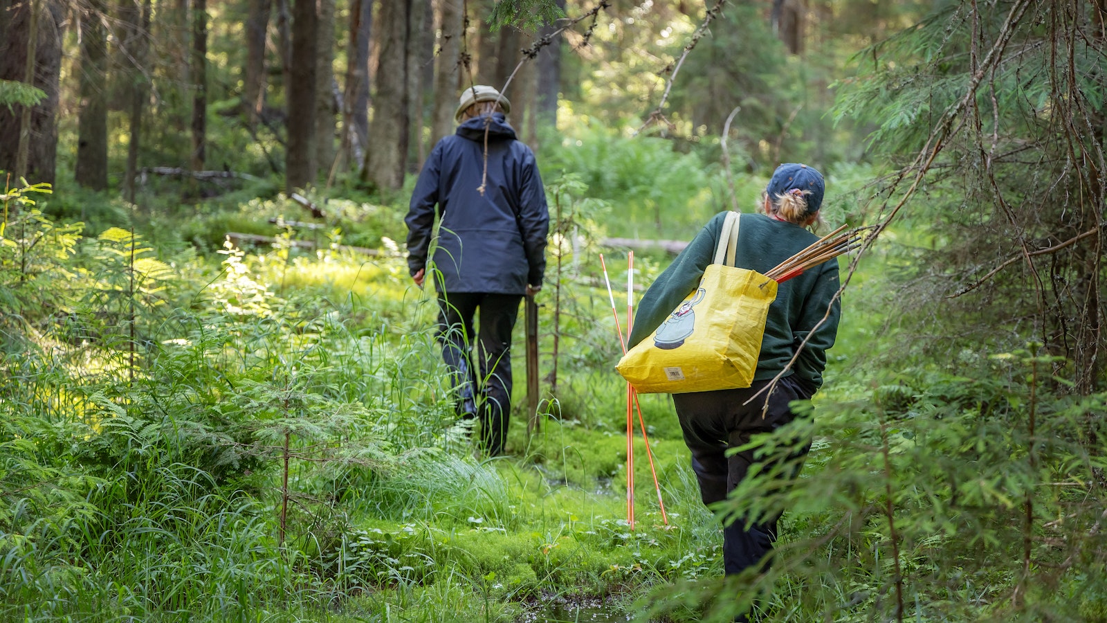 Asiantuntija ihmettelee: Luken ja Syken kasvihuonekaasujen laskentatulokset heittävät jopa kymmeniä miljoonia hiilitonneja - Metsä