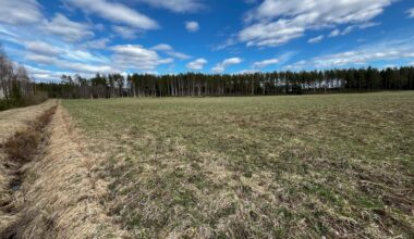 Yliö: Talviaikainen kasvipeitteisyys tukee vesiensuojelua – uusi kohdennusaineisto kannustaa sen lisäämiseen - Mielipide