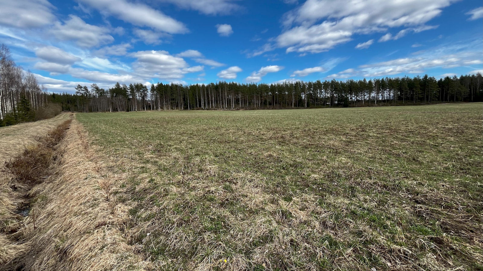 Yliö: Talviaikainen kasvipeitteisyys tukee vesiensuojelua – uusi kohdennusaineisto kannustaa sen lisäämiseen - Mielipide
