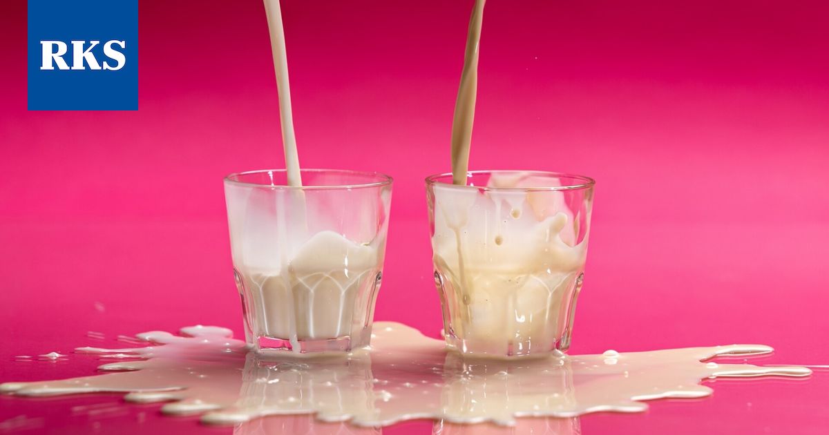 Ravitsemusterapeutti Heli Virtanen vertaili maidon ja kaurajuoman ravintoarvoja