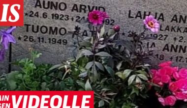 Sain sen videolle: Kausi 4., jakso 9.