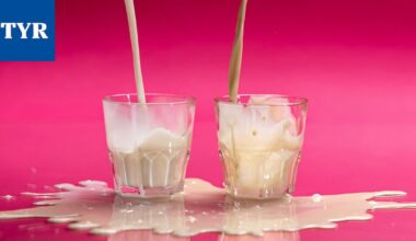 Ravitsemusterapeutti Heli Virtanen vertaili maidon ja kaurajuoman ravintoarvoja