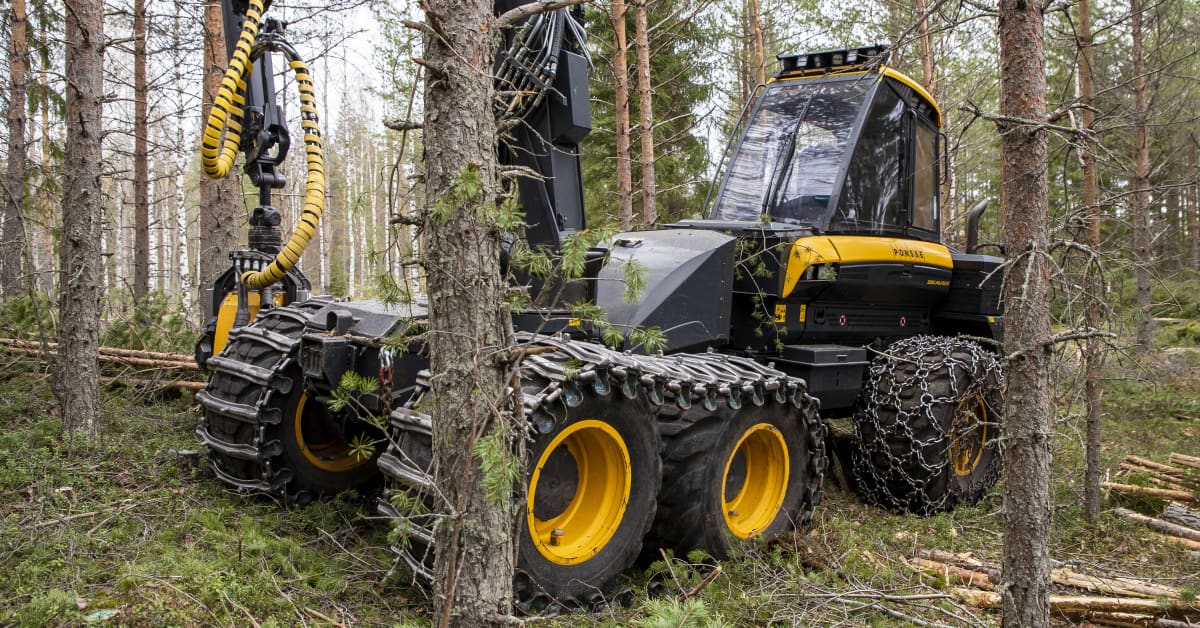 Puukauppa hyytyi rajusti kesällä – ”Koskaan ei näin huonoa ole ollut”, sanoo metsäkoneyrittäjä | Kotimaa