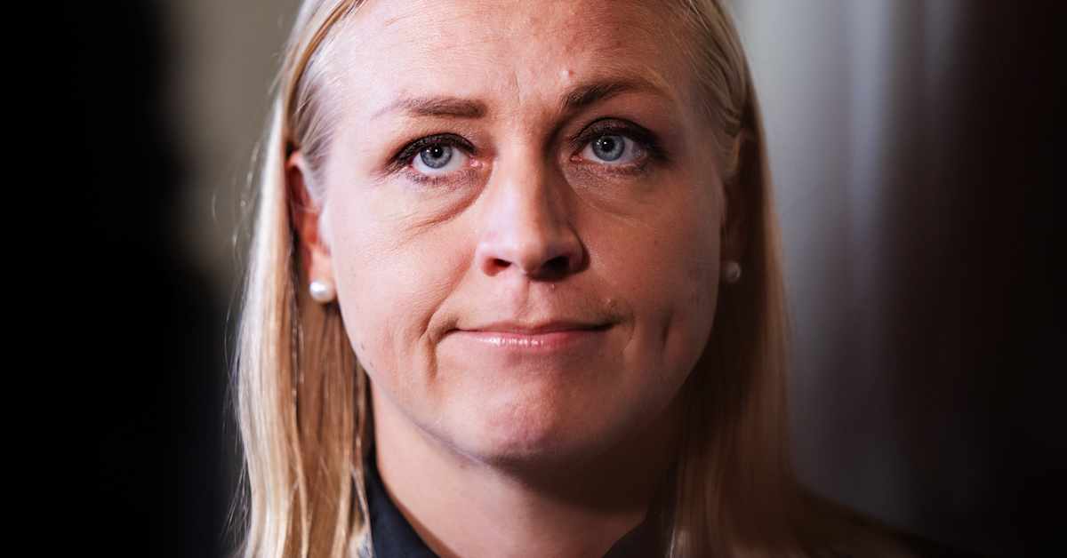 Valtonen piikittelee Georgian pääministerille: Tule Suomeen seuraamaan valitsemaasi mielenosoitusta | Uutisia lyhyesti