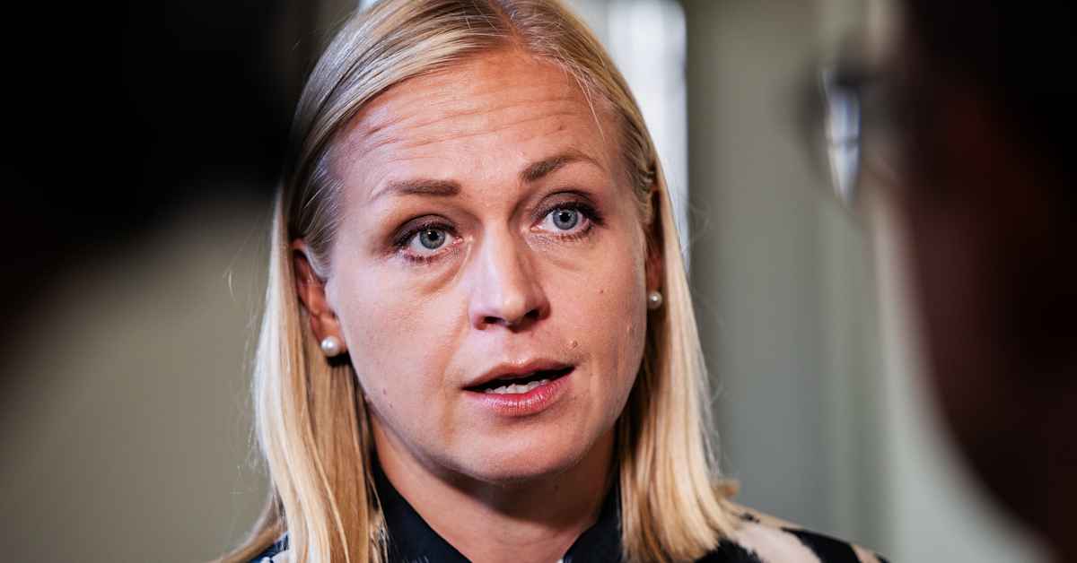 Georgia määräsi ulkoministeri Valtoselle 1 500 euron sakon – Orpo: kertoo suhtautumisesta kansalaisyhteiskuntaan | Uutiset