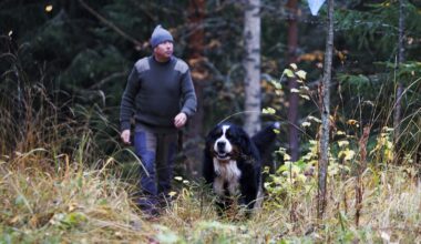 Pekka Könkkölä avasi unohtunutta vaellusreittiä 120 kilometrin matkalta Keski-Suomessa: ”Huikaisevan hienoja maisemia” - Uutiset kotimaasta ja maailmalta