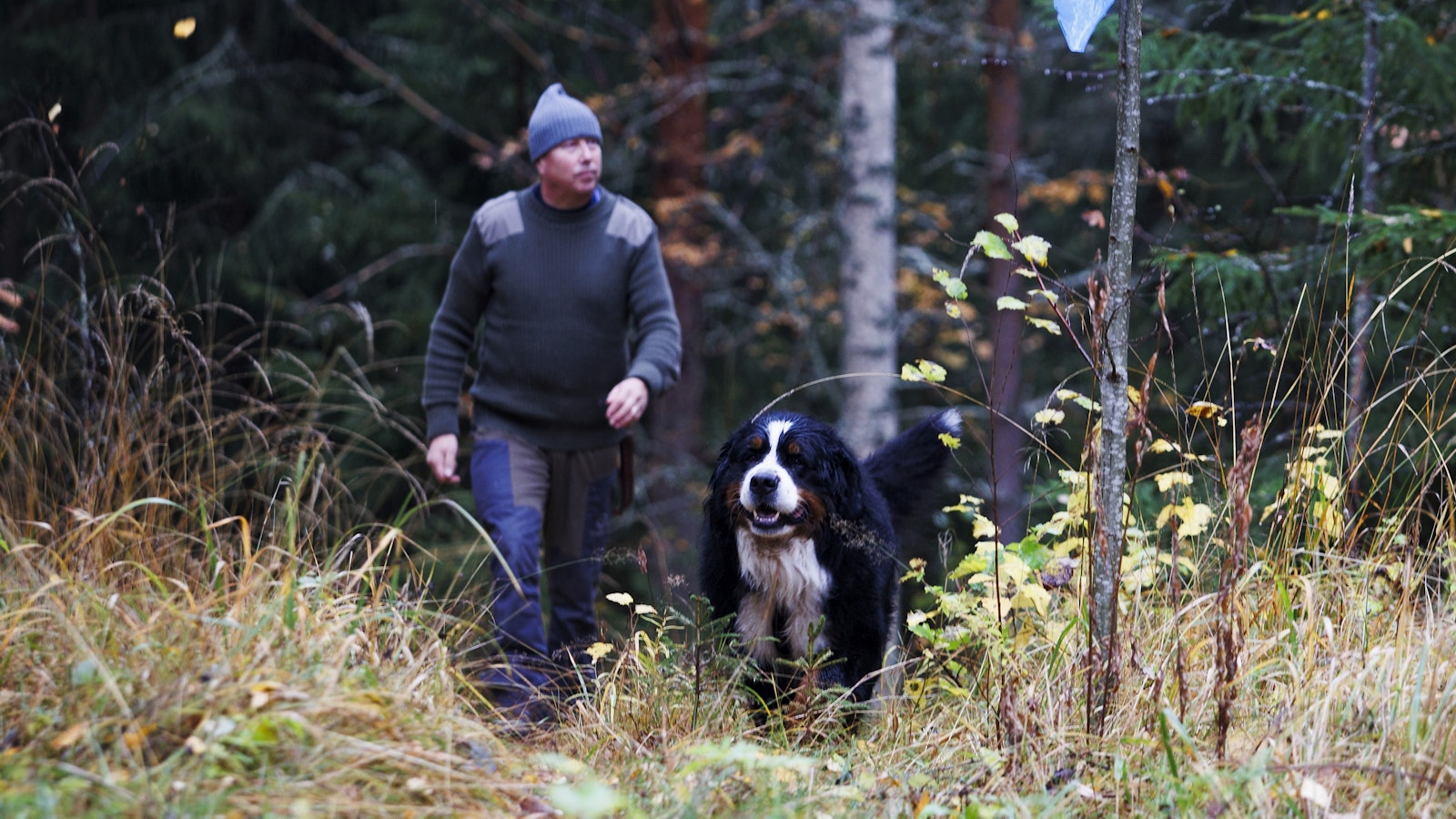 Pekka Könkkölä avasi unohtunutta vaellusreittiä 120 kilometrin matkalta Keski-Suomessa: ”Huikaisevan hienoja maisemia” - Uutiset kotimaasta ja maailmalta