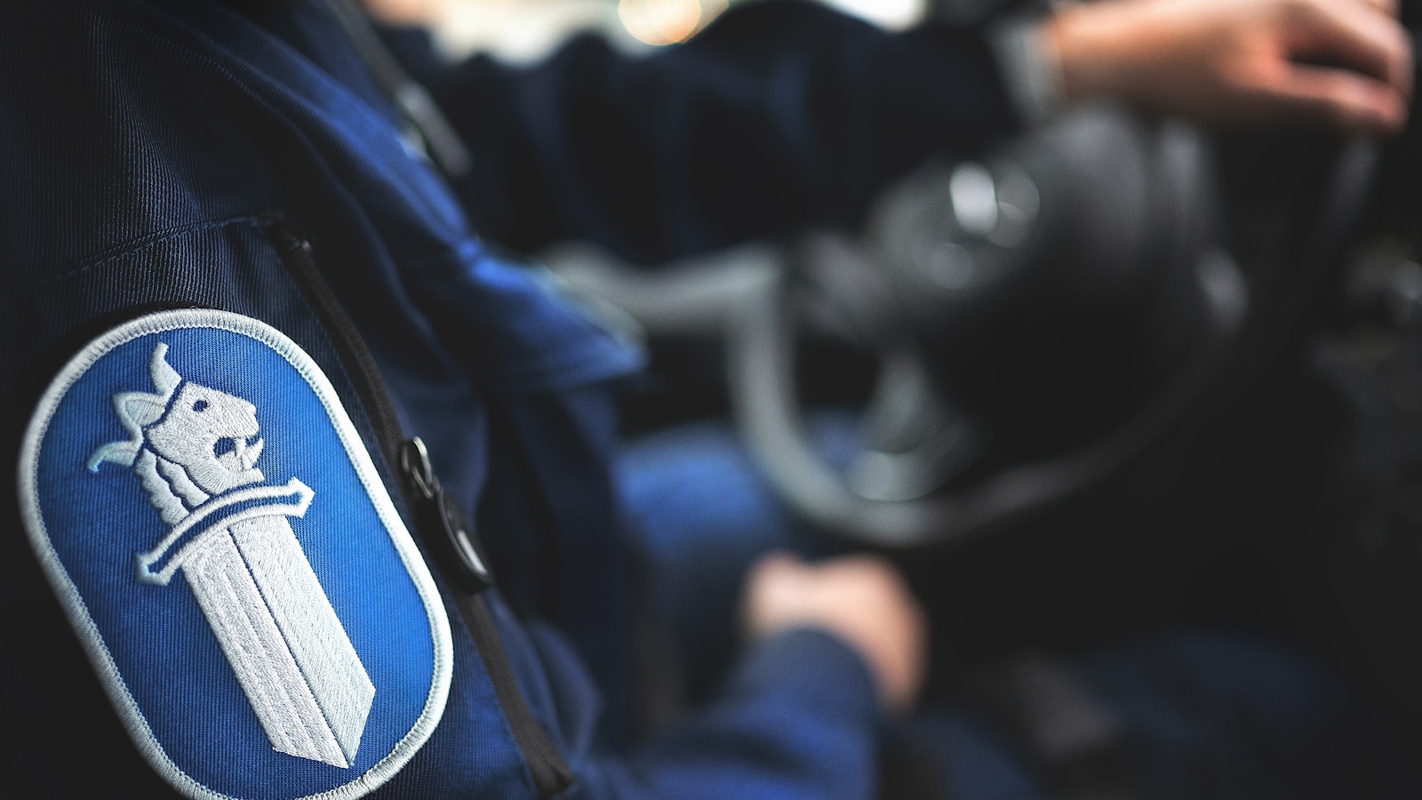 Sotkamosta löytyi ammuttu susi – poliisi pyytää vihjeitä - Metsä