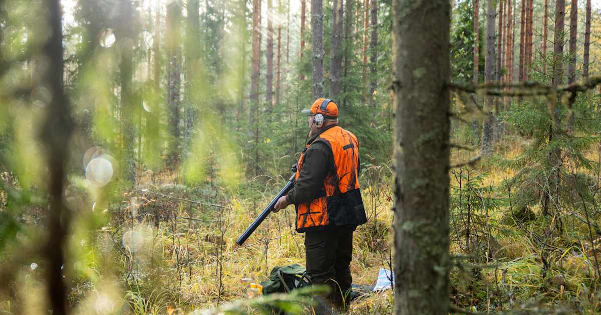 Metsästäjät osuvat useimmiten vahingossa keski-ikäiseen kaveriinsa – onnettomuus voi tapahtua myös jahdin loputtua | Etelä-Savo