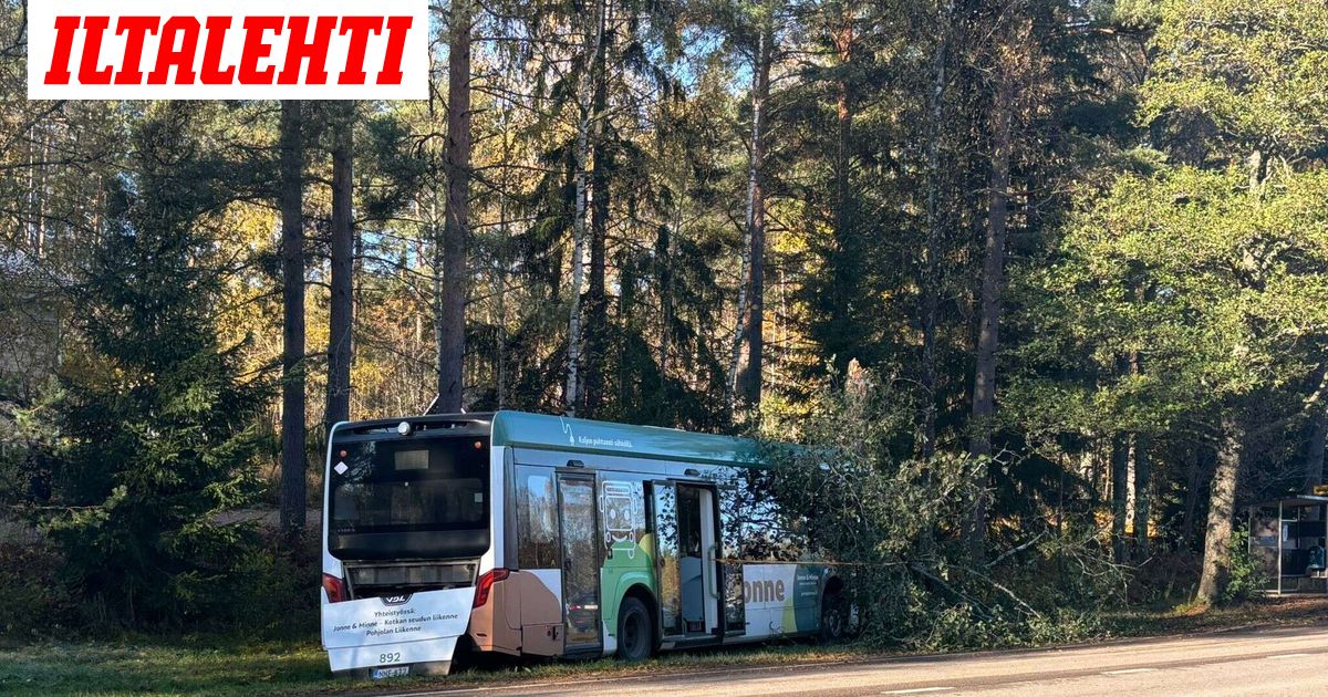 Linja-auto törmäsi puuhun – Yksi loukkaantui