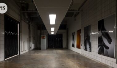 Pitted Datesin näyttely vie katsojan epämukavan lähelle Teurastamon historiaa