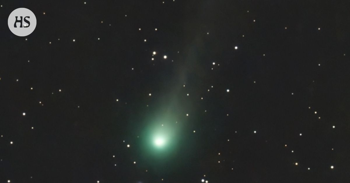 Komeetta Lemmon näkyy jo taivaalla – palaa maapallon lähelle vasta yli tuhannen vuoden kuluttua