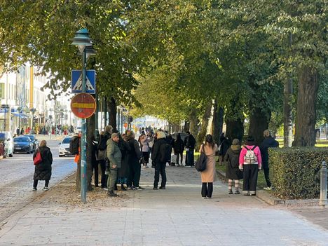 Jan Södersved muistuttaa, että pöllön pitää antaa olla rauhassa, vaikka se sympaattinen ja suhteellisen harvinainen näky onkin.
