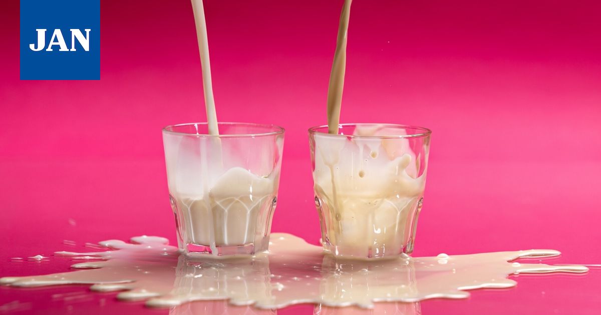 Ravitsemusterapeutti Heli Virtanen vertaili maidon ja kaurajuoman ravintoarvoja