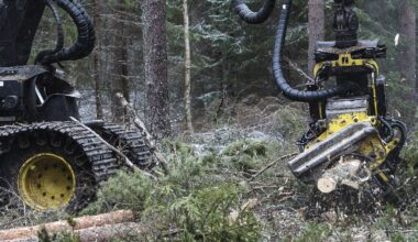 Lukijalta: Suometsien metsätalouskäytön vaikutuksista tarvitaan lisätietoa - Mielipide