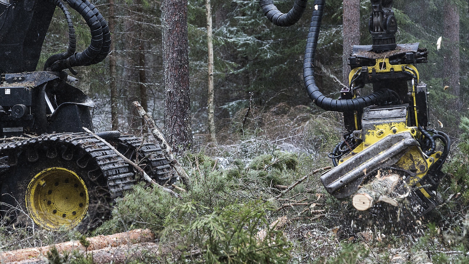 Lukijalta: Suometsien metsätalouskäytön vaikutuksista tarvitaan lisätietoa - Mielipide
