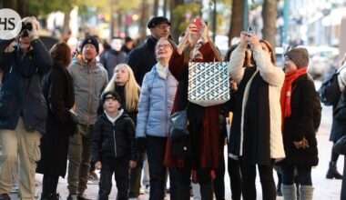 Harvinainen lapinpöllö keräsi innostuneen ihailijalauman ympärilleen Helsingin ydinkeskustassa