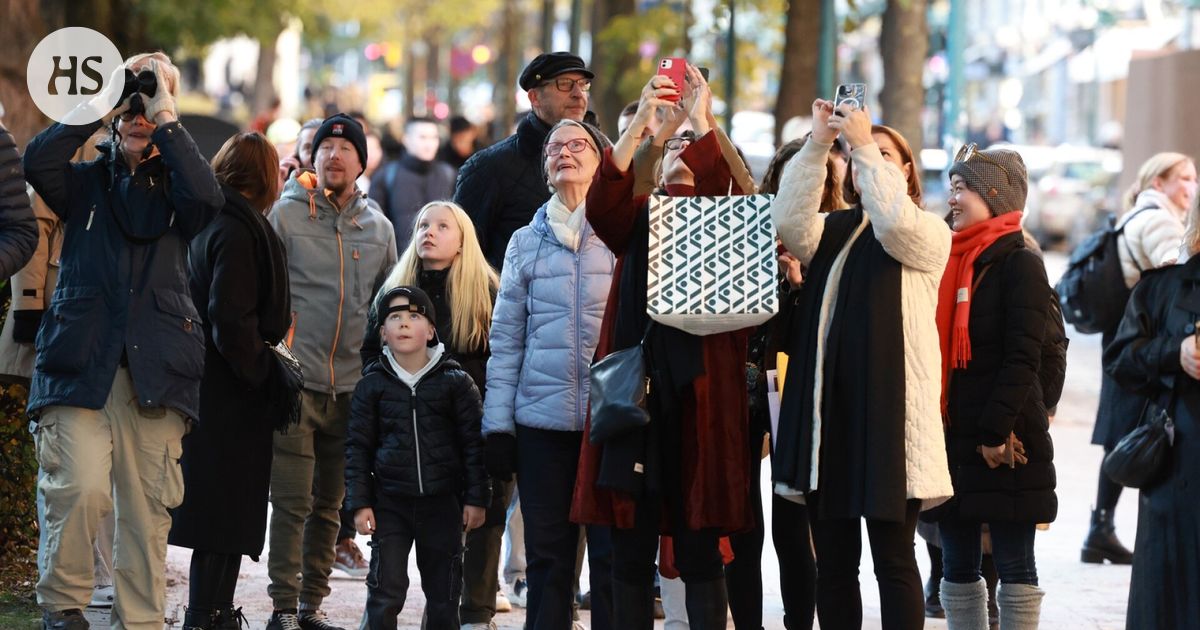 Harvinainen lapinpöllö keräsi innostuneen ihailijalauman ympärilleen Helsingin ydinkeskustassa