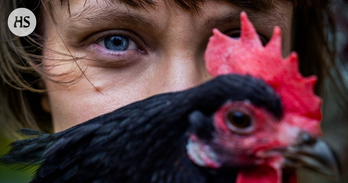 Kirjailija Mariia Niskavaara kertoo esikoisteoksestaan Ester, teurastaja, joka käsittelee elämän ja kuoleman kiertokulkua