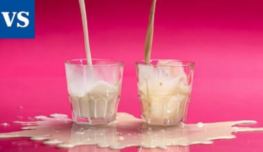 Ravitsemusterapeutti Heli Virtanen vertaili maidon ja kaurajuoman ravintoarvoja