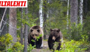 Älä mene ulos, jos olet tällä alueella