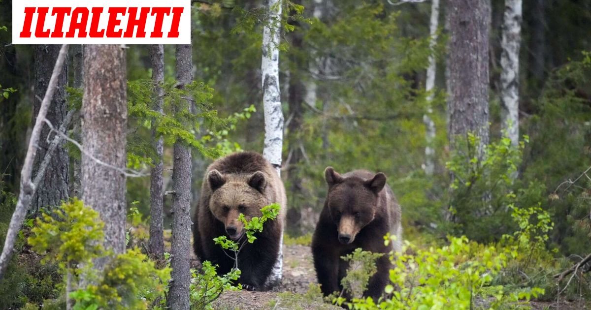 Älä mene ulos, jos olet tällä alueella