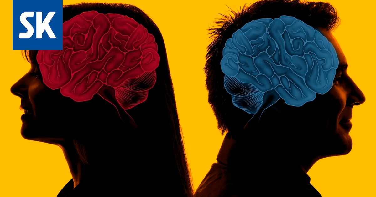 Tutkimus: Hyvät aivojen ominaisuudet huipussaan vasta 55–60-vuotiailla