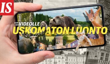Sain sen videolle esittää: Uskomaton luonto