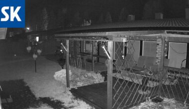 Porilaisen Kirsin pihakamera tallensi melkoisen näyn – ”On siinä jäniksiä näkynyt, mutta ei nyt mitään tällaista”