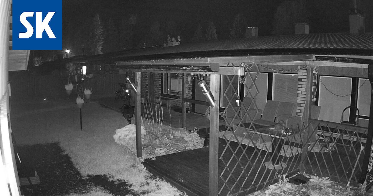 Porilaisen Kirsin pihakamera tallensi melkoisen näyn – ”On siinä jäniksiä näkynyt, mutta ei nyt mitään tällaista”