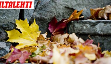 Kuukausiennuste: Näin kylmäksi sää muuttuu