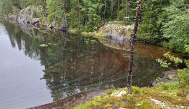 Vesi on monessa järvessä niin matalalla, että happikato uhkaa kaloja ja kasveja - Uutiset kotimaasta ja maailmalta