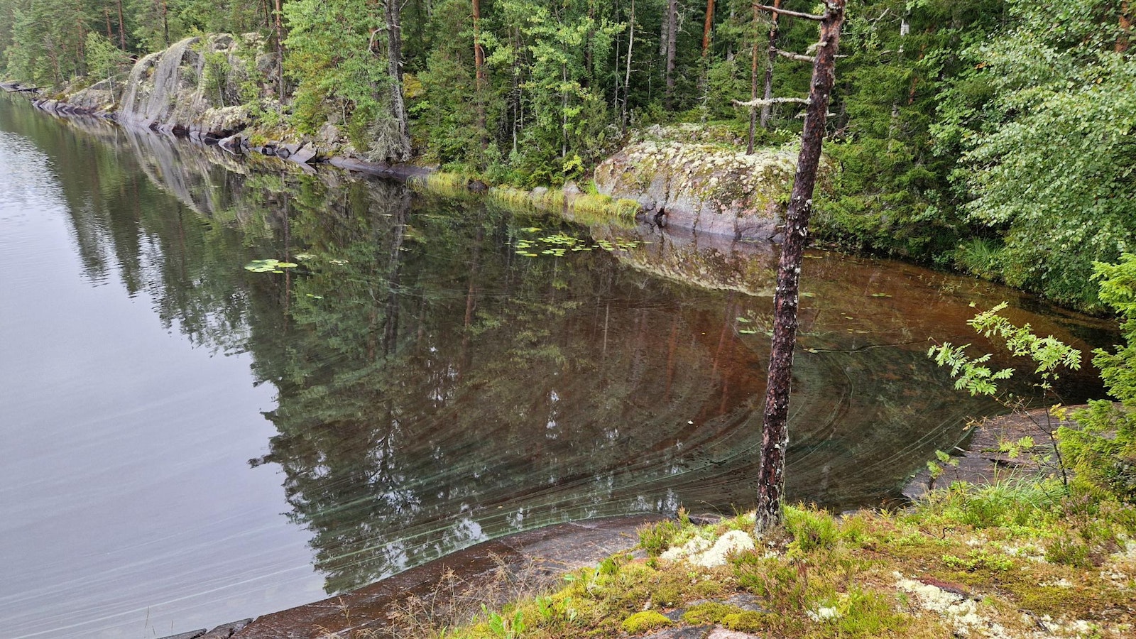 Vesi on monessa järvessä niin matalalla, että happikato uhkaa kaloja ja kasveja - Uutiset kotimaasta ja maailmalta