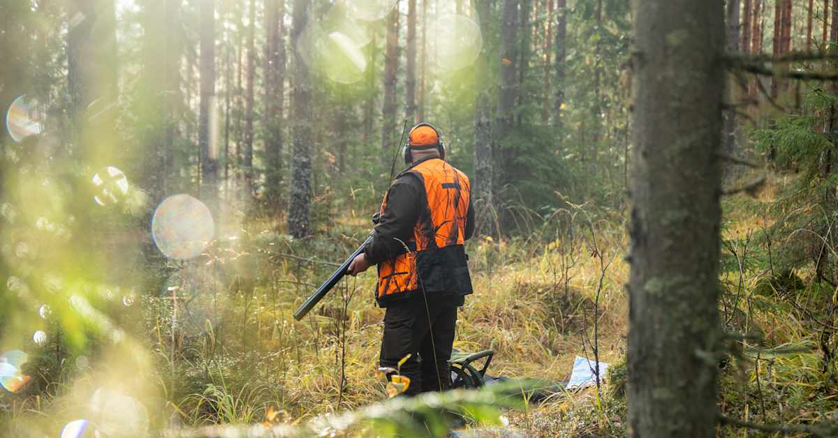 Metsästäjän auto anastettiin kesken hirvijahdin Kurikassa – omistaja huomasi ajoneuvonsa tulevan tiellä vastaan | Etelä-Pohjanmaa