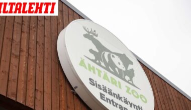 Ähtärin eläinpuistolle ehkä jatkaja