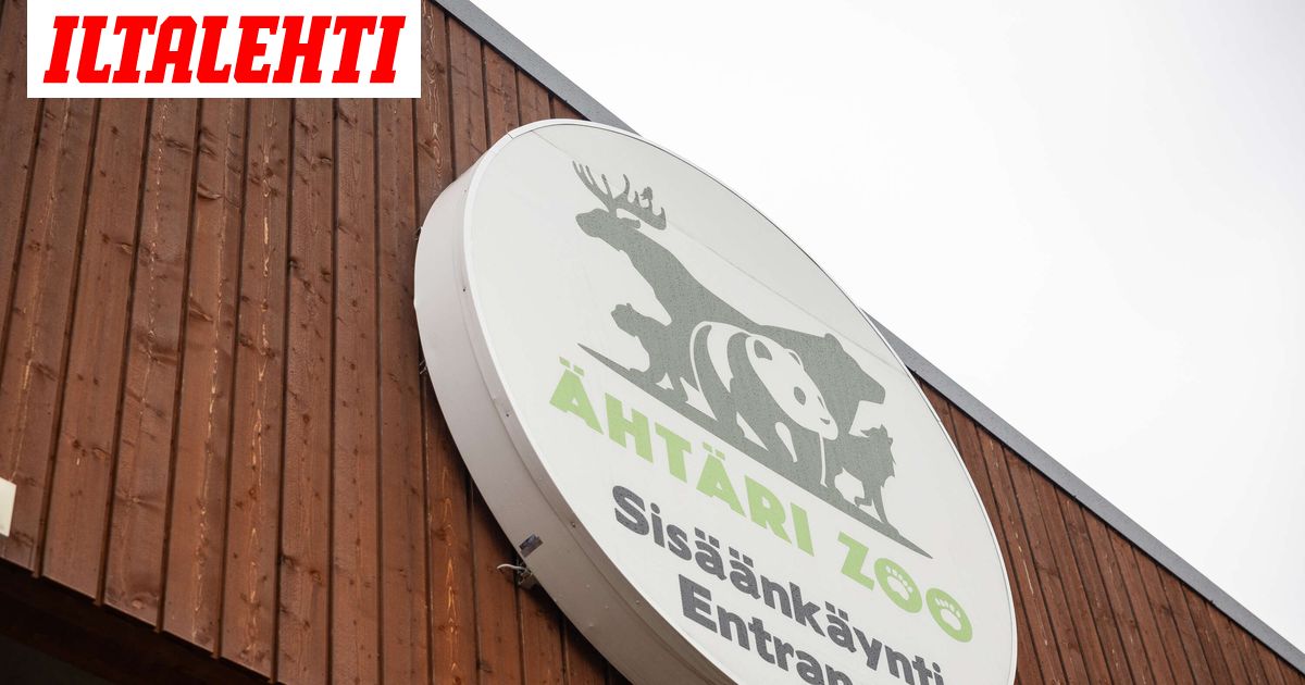 Ähtärin eläinpuistolle ehkä jatkaja