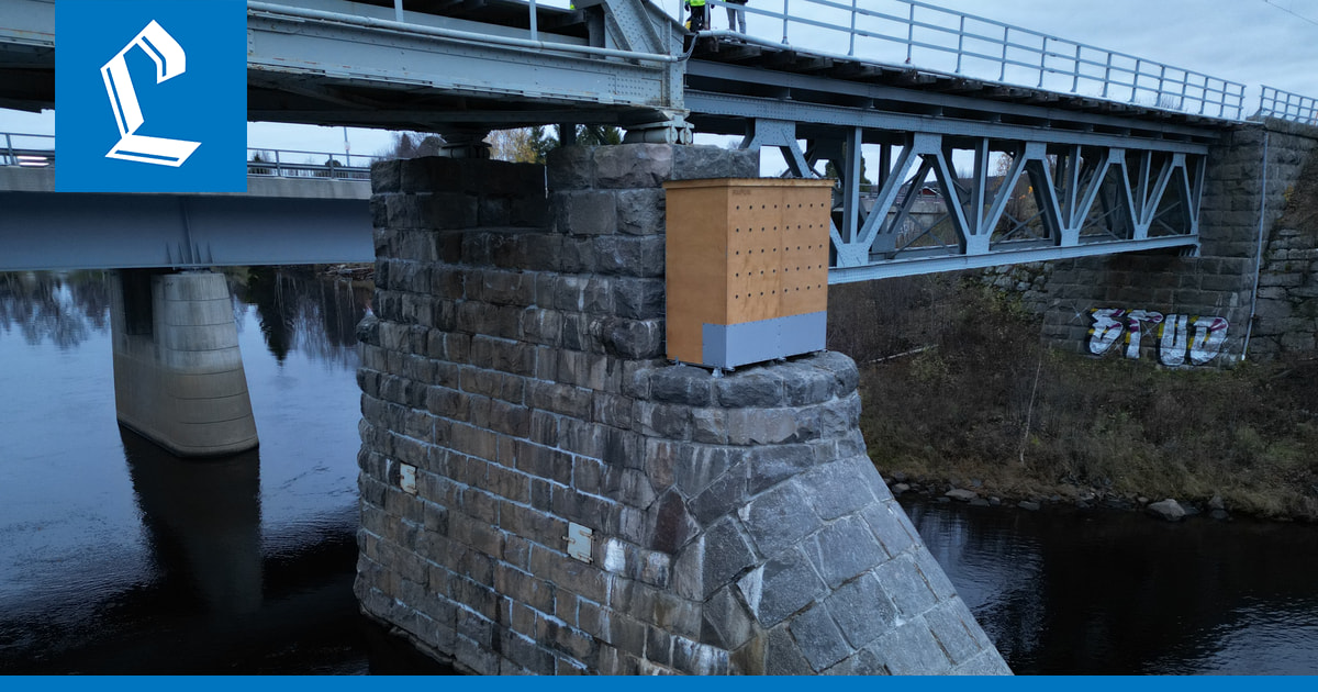 Uhanalaisen törmäpääskyn pesät hävitettiin Suutarinkorvan ratasillasta Rovaniemellä – linnuille asennettiin korvaava pesähotelli