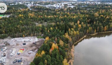 Helsingin uusi apulaispormestari Johanna Laisaari: Emme hyväksy Stansvikin metsän rakentamista