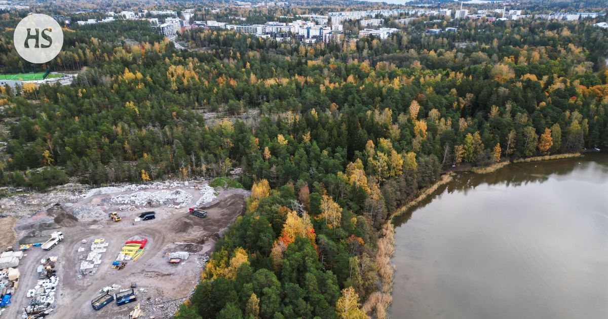 Helsingin uusi apulaispormestari Johanna Laisaari: Emme hyväksy Stansvikin metsän rakentamista