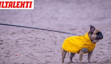 Sää jatkuu poikkeuksellisena pitkälle marraskuuhun