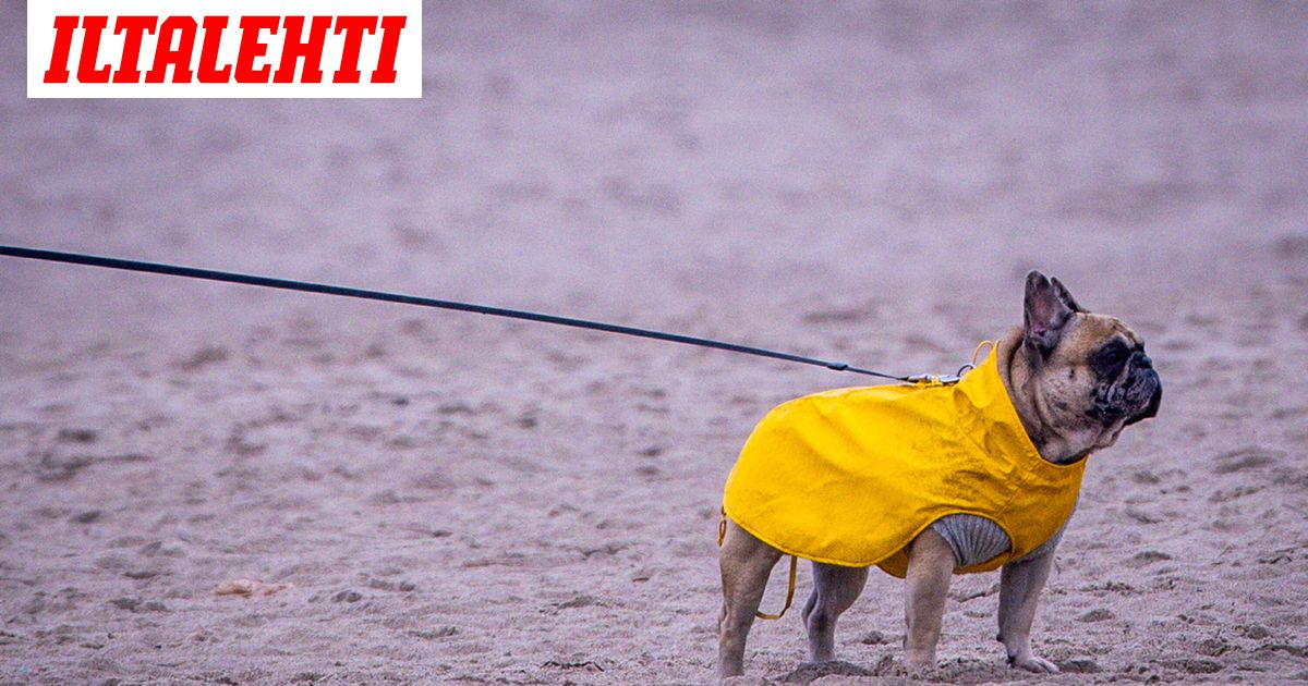 Sää jatkuu poikkeuksellisena pitkälle marraskuuhun