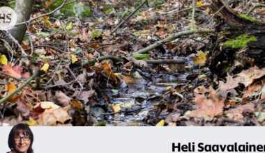 Poliisien olisi ehkä kannattanut jättää vitsit sikseen ja ottaa tieto norosta vakavasti