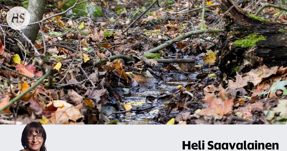 Poliisien olisi ehkä kannattanut jättää vitsit sikseen ja ottaa tieto norosta vakavasti